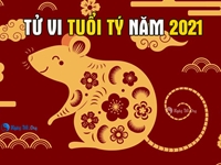Tử vi tuổi Tý năm Tân Sửu 2021: Văn Xương tinh hùng mạnh, thoát vòng Thái Tuế