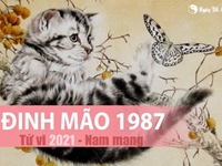 Xem tử vi 2021 tuổi Đinh Mão sinh năm 1987 - Nam mạng