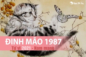 Xem tử vi 2021 tuổi Đinh Mão sinh năm 1987 - Nam mạng