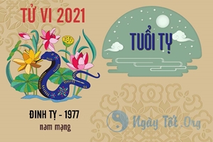 Xem tử vi 2021 tuổi Đinh Tỵ sinh năm 1977- Nam mạng