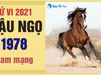 Xem tử vi 2021 tuổi Mậu Ngọ sinh năm 1978 - Nam mạng