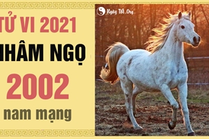 Xem tử vi 2021 tuổi Nhâm Ngọ sinh năm 2002 - Nam mạng