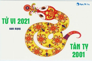 Xem tử vi 2021 tuổi Tân Tỵ sinh năm 2001 - Nam mạng