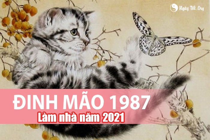 dinh mao lam nha 2021, sinh 1987